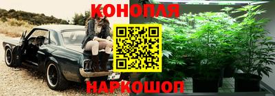 сатива Мариинск